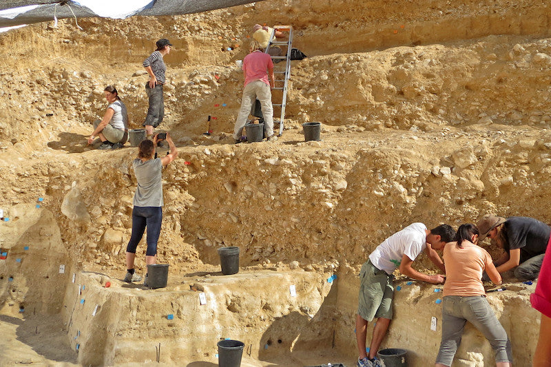 Neandertal ve Modern İnsan Necef Çölü’nde Buluşmuş Olabilir