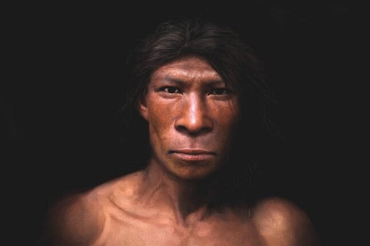 Neandertalleri Aptal Olarak Görmenin Zamanı Artık Geçti