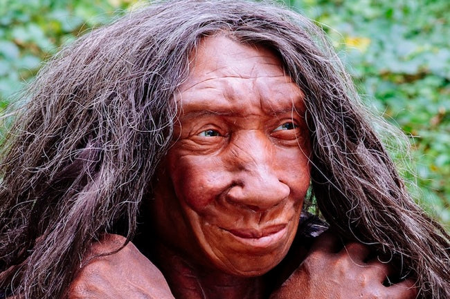 Kuzeybatı Avrupa’daki Son Neandertallerin Gen Havuzu Sağlıklıydı