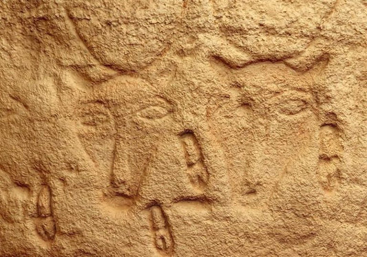 Oymalar, Antik Nubia’nın Ritüelistik Yönünü Gösteriyor