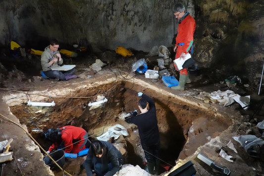 Mağara Tortularında Neandertal Nükleer DNA’sı Elde Edildi