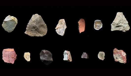 Bir Akrabamız, 2.6 Milyon Yıl Önce Çok Uzaklardan Taş Toplamış