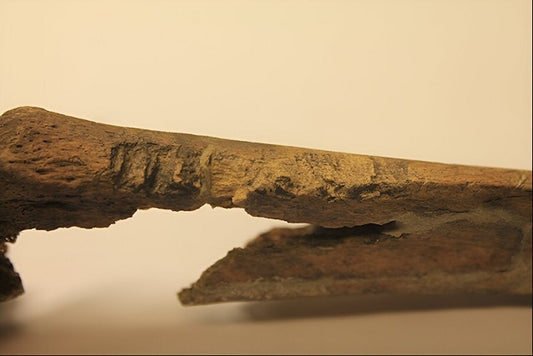 Norveç’teki Vikingler, Danimarka’dakilerden Çok Daha Şiddetliydi