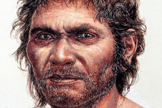 Japonya’da Bulunan Paleolitik Kalıntılar DNA Analizinden Geçti
