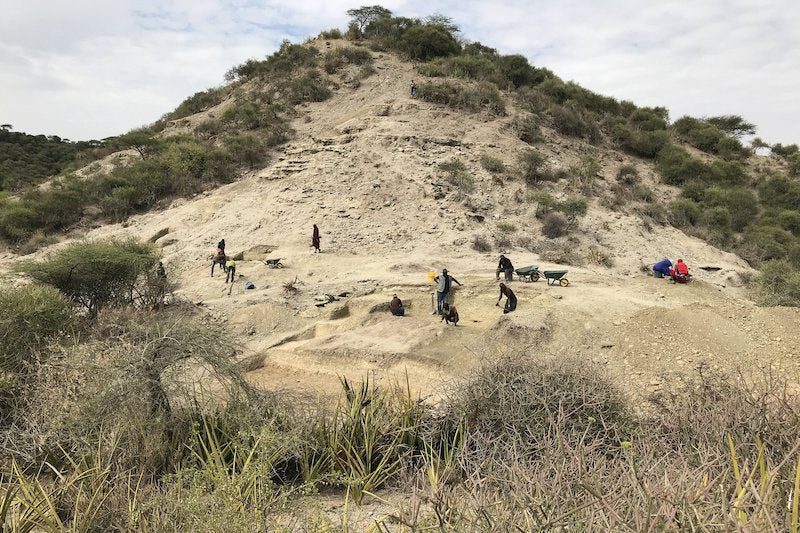 Olduvai’deki Homininler, Değişen Çevreye Uyum Sağlamış