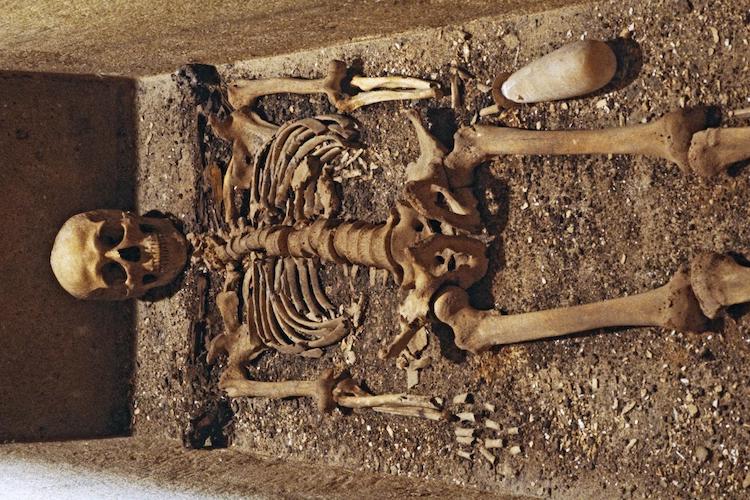 Bilinen En Eski Olimpik Atletin İskeleti
