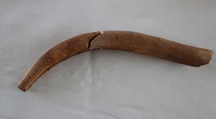 Denizli’de 8.750 Yıllık Kemik Orak Bulundu
