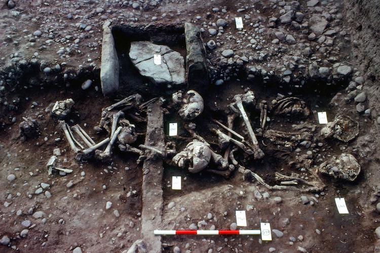 İngiltere’de Büyük Viking Ordusu’na Ait Kanıtlar Bulundu