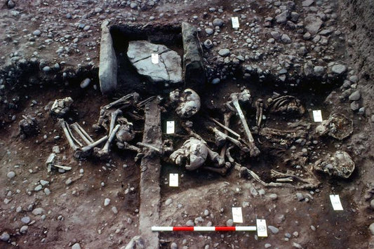 İngiltere’de Büyük Viking Ordusu’na Ait Kanıtlar Bulundu