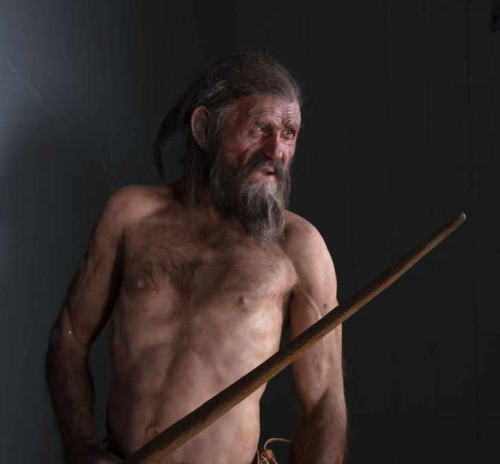 Buzadam Ötzi Öldürülmeden Önce Pastırma Yemiş