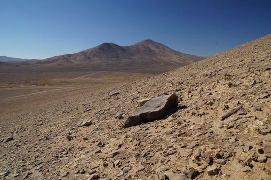Atacama Çölü’nde Tarım Yetersiz Beslenme Yüzünden Başladı