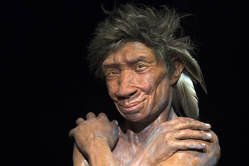 Neandertal DNA’sı, Modern İnsanlardaki Kanserle İlişkili Çıktı