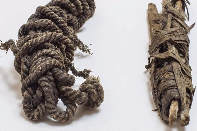 Ötzi’nin Kullandığı 5.300 Yıllık Yay Kirişi Tanımlandı