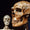 Neandertaller’den Daha Zeki Değildik, Sadece Daha Dayanıklıydık