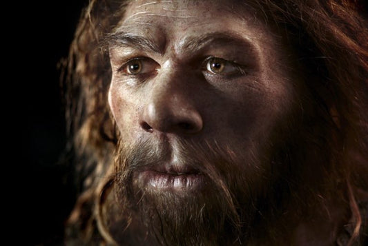 Neandertallerin Acı Eşiği Daha Düşük Olabilir