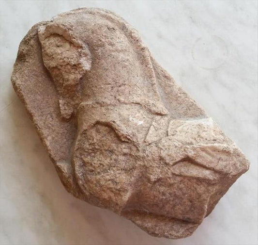 Patara’daki Pers Dönemi At Kabartmasıyla İlk Defa Belgelendi
