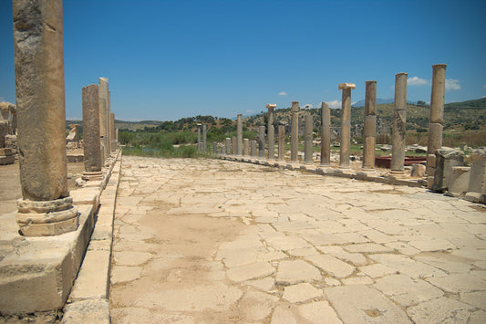 2020 Yılı Patara Yılı Olarak İlan Edildi