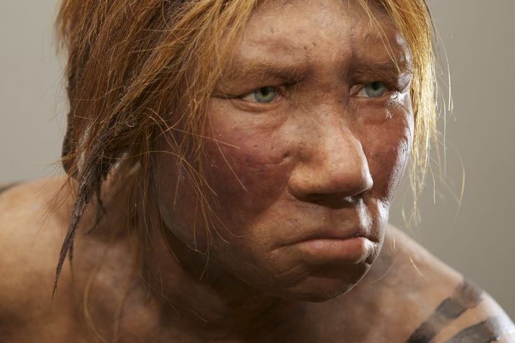 Neandertaller Dış Etkilerden Bağımsız Strateji Değiştirebiliyordu