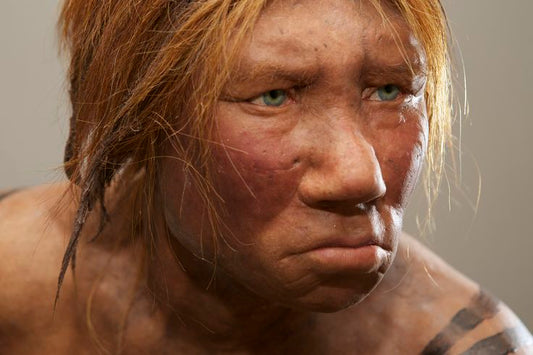Neandertaller Dış Etkilerden Bağımsız Strateji Değiştirebiliyordu