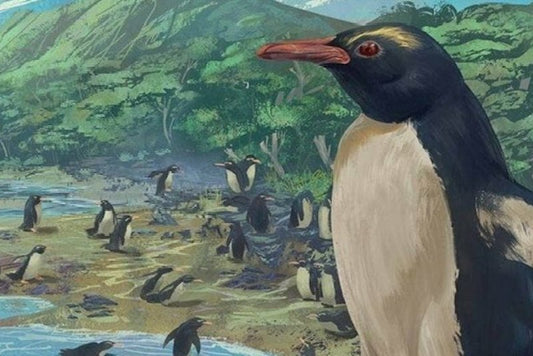 Tüm Penguenlerin Atası, Dünyanın 8. Kıtasında Yaşıyordu