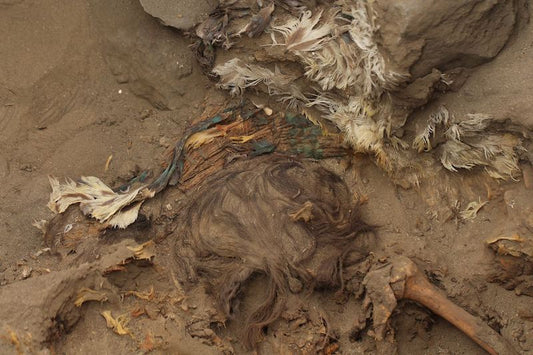 Peru’da Renkli Tüylerle Süslenmiş Bir İskelet Bulundu