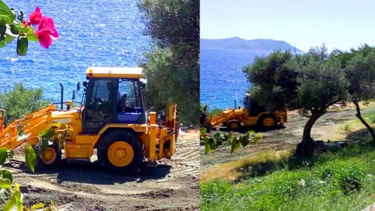Antalya’da Antik Kente Kaçak Plaj Girişimi