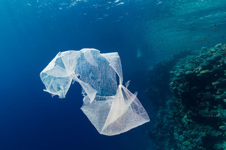 Evrimleşen Mikroplar Okyanus Plastiklerini Parçalıyor Olabilir
