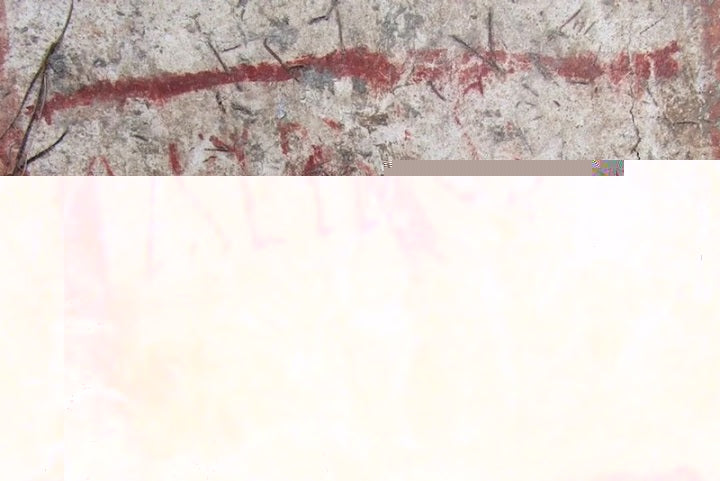 Pompeii’de İlk Defa Bir Evin İçinde Siyasi Slogan Bulundu