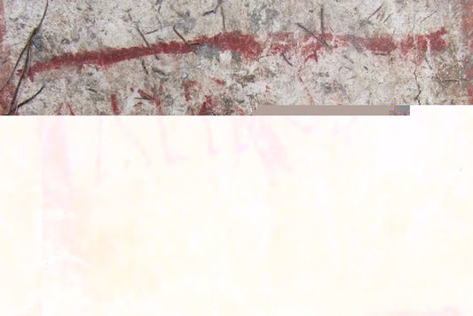 Pompeii’de İlk Defa Bir Evin İçinde Siyasi Slogan Bulundu