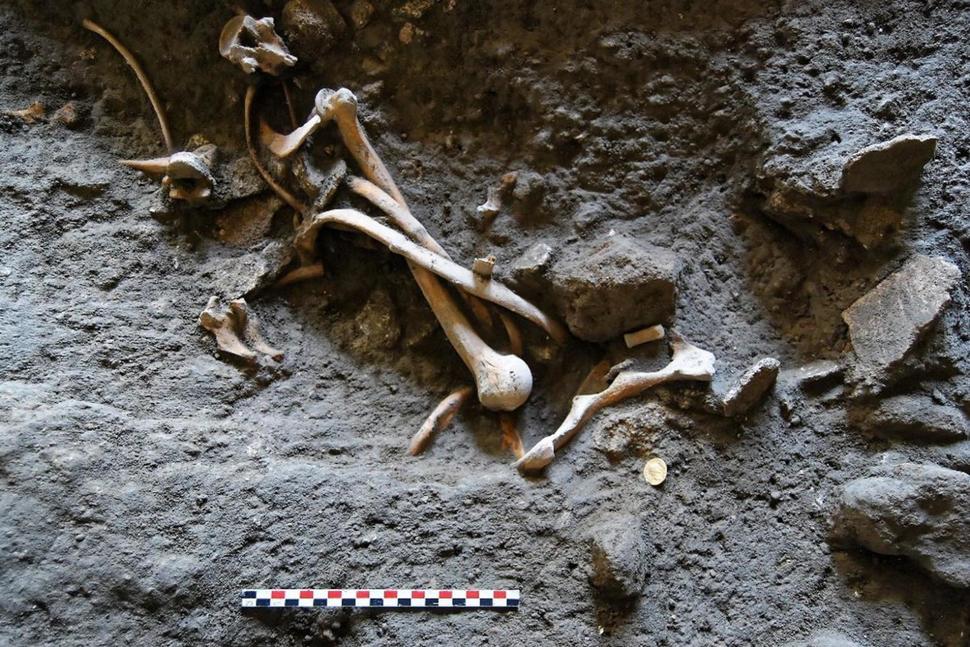 Pompeii’de bir Antik Dükkanda Altın Sikke ve İskeletler Keşfedildi