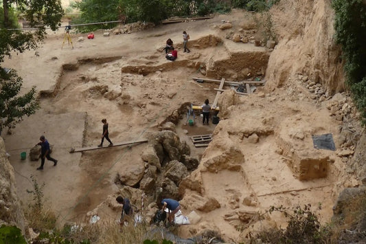 50.000 Yıl Önce Yaşamış Neandertal Dışkısı İncelendi