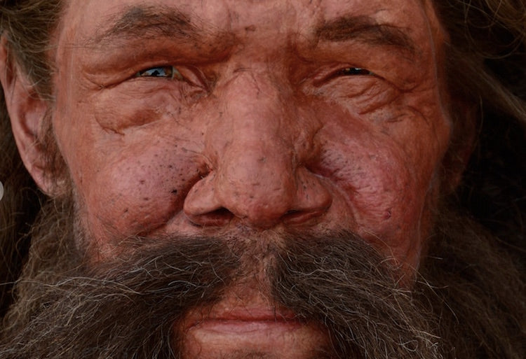Tükenmeden Önce Neandertal Nüfusunda Patlama Yaşanmış