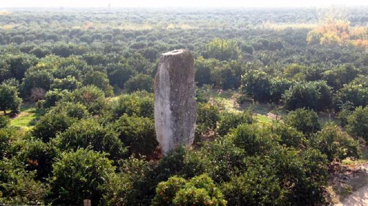 Portakal ağaçları arasında yükselen 2 bin 700 yıllık tarih