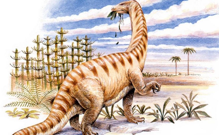 195 Milyon Yıllık Dinozor Kemiğinde Protein Keşfedildi