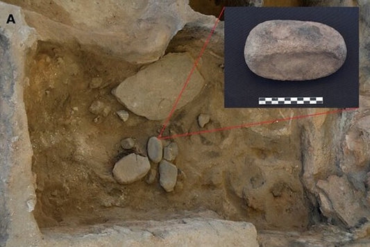 Çatalhöyük’te Bitki İşleme Süreci ile İlgili Yeni Araştırma