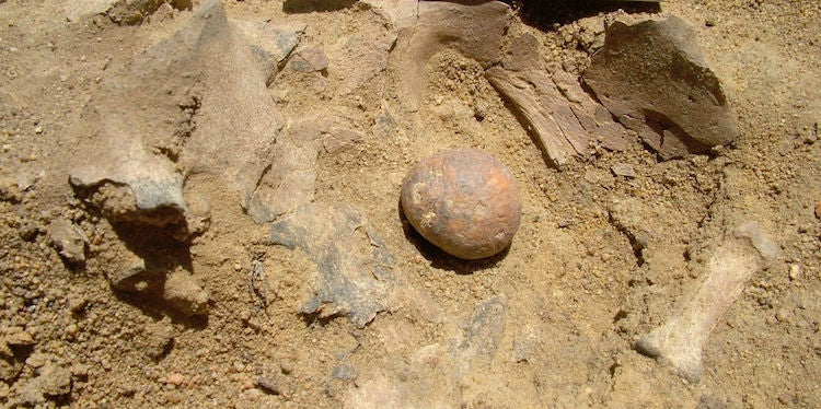 Sudan’da 12,000 Yıllık Bilinen En Eski Prostat Taşları Bulundu