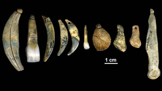 Yeni Yöntemle Neandertallerin Kendi Takılarını Yaptığı Doğrulandı