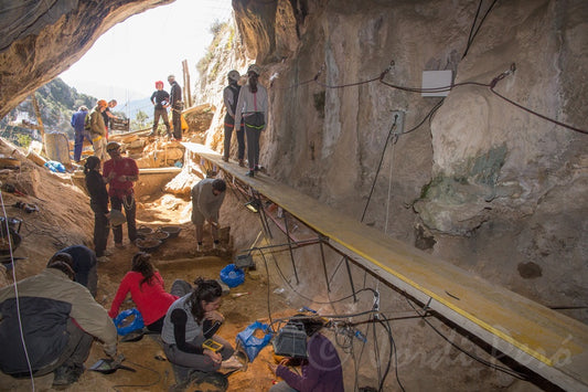 Neandertaller Etçil Hayvanlarla Aynı Mağarayı Paylaştı