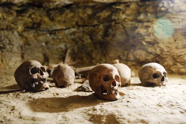Binlerce Hizmetçiyle Gömülmüş Antik Mısır Rahipleri Bulundu