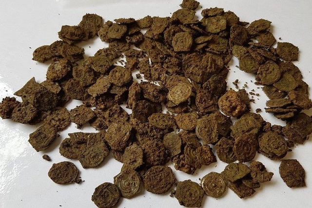 Londra’daki Fırtına, 300 Demir Çağı Sikkesini Ortaya Çıkardı