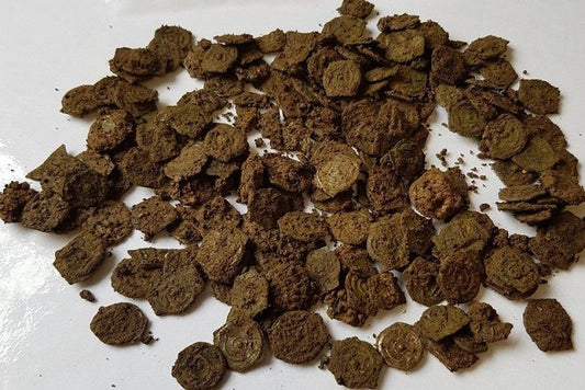 Londra’daki Fırtına, 300 Demir Çağı Sikkesini Ortaya Çıkardı