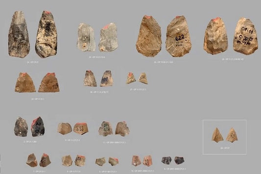 Neandertaller 80.000 Yıl Önce Ok Atmış Olabilir