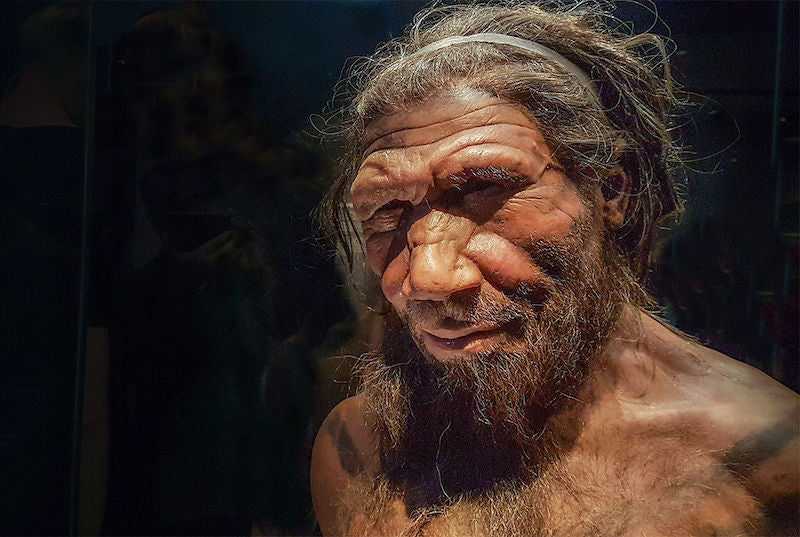 Neandertaller ile Birçok Yerde Birçok Kez Çiftleştik