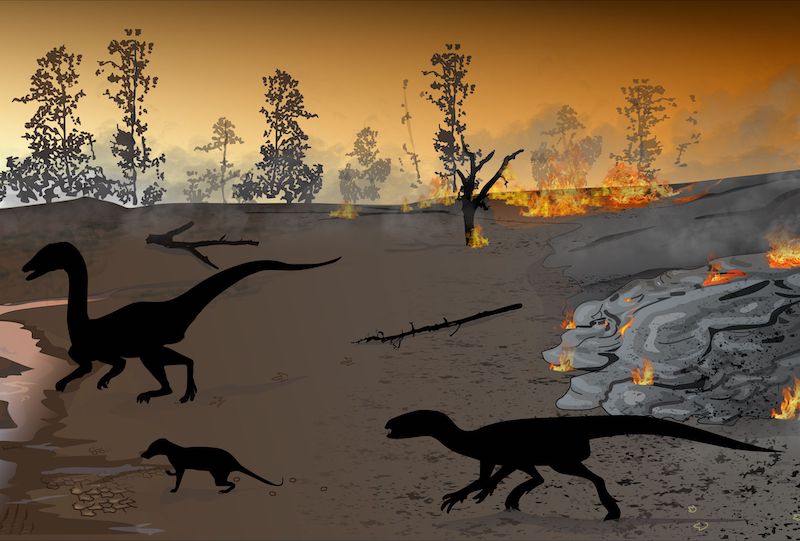 ‘Ateş Diyarında’ Ayak İzlerini Bırakan Dinozorlar Keşfedildi