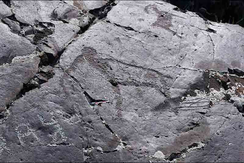 Orta Asya’da 15.000 Yıllık Mamut ve Gergedan Çizimleri Keşfedildi