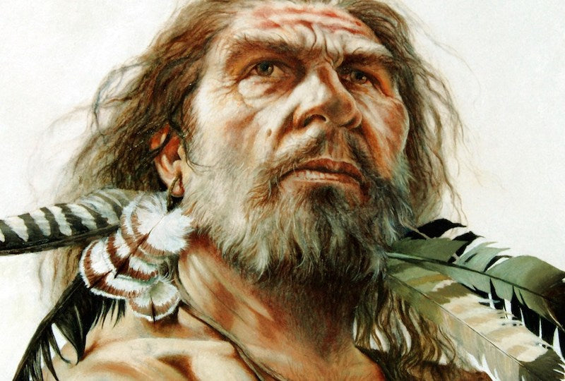 Neandertal Takı Yapımını Bizden Öğrenmiş Olabilir