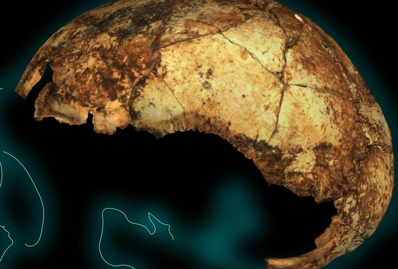 İnsan Atası Homo erectus, Sanılandan Daha Eski Çıktı