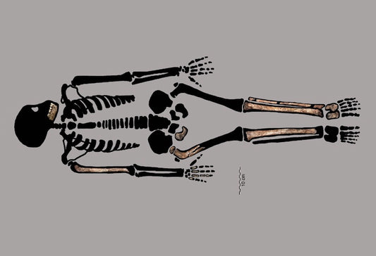Çocuk Homo naledi, Atalarımızın Büyüme Evresini Aydınlatıyor