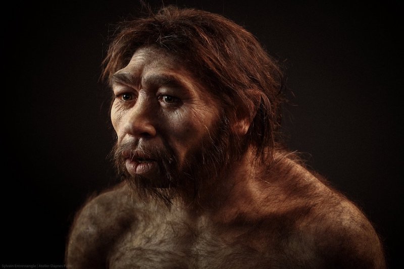 Homo erectus Su İçmeden 5 Saat Avlanabiliyordu