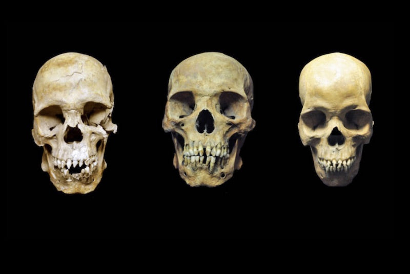 Meksika’daki 500 Yıllık İskeletler, Kölelere Ait Çıktı